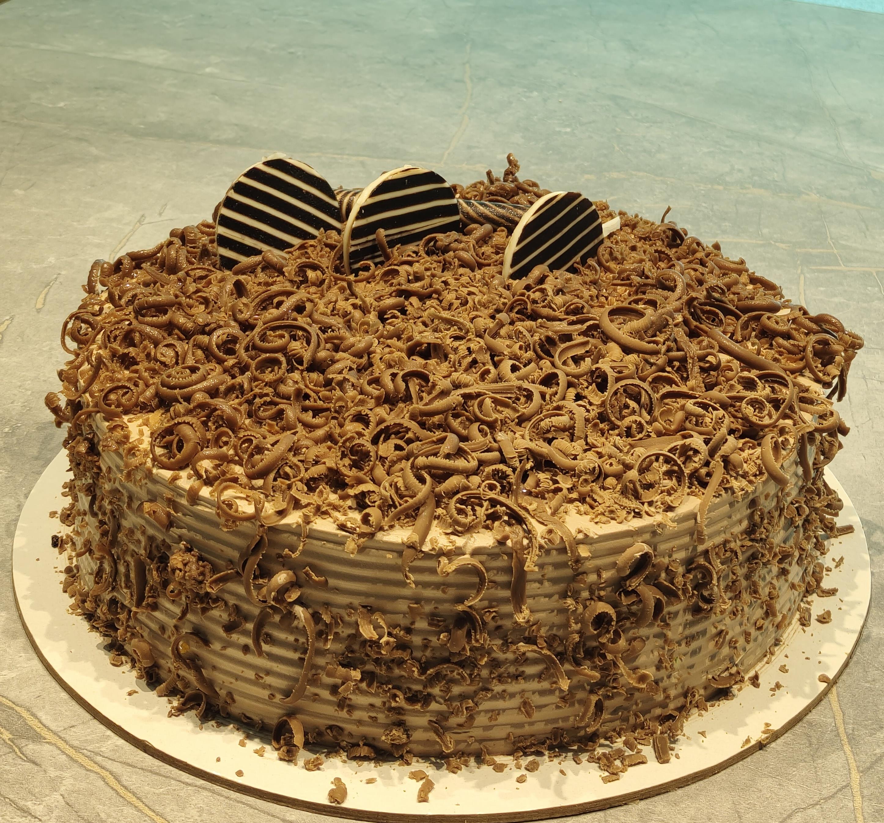 CHOCO FOREST